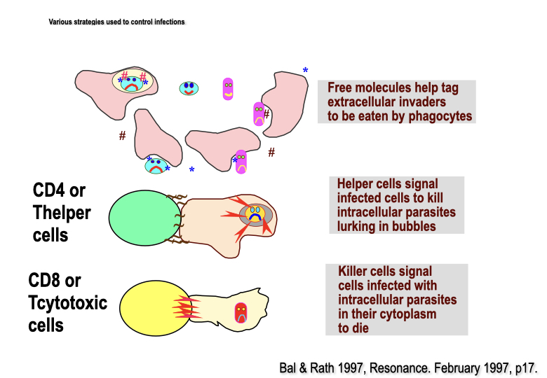 Strategies used to control infections