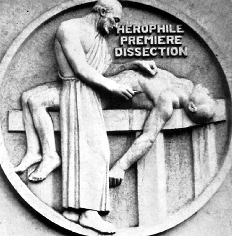 Herophilus First Dissection